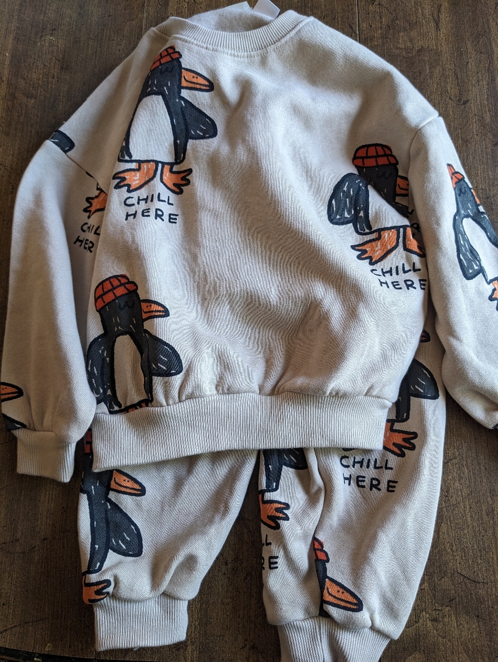 Zara Penguin Graphic Sweatshirt & Jogger Sweatpants Size 4 Nwt